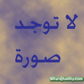 4146.jpg